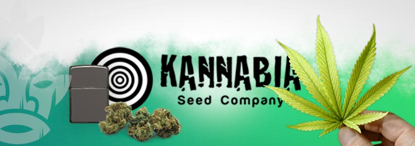 KANNABIA SEED CO.